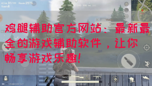 鸡腿辅助官方网站：最新最全的游戏辅助软件，让你畅享游戏乐趣！(图1)
