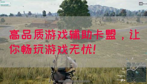 高品质游戏辅助卡盟，让你畅玩游戏无忧！