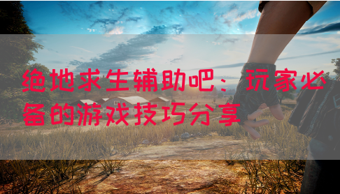 绝地求生辅助吧：玩家必备的游戏技巧分享