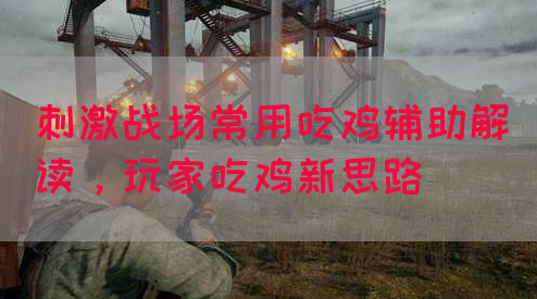 刺激战场常用吃鸡辅助解读，玩家吃鸡新思路(图1)
