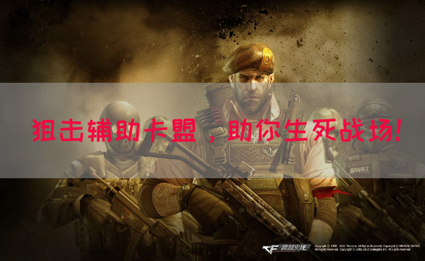 狙击辅助卡盟，助你生死战场！(图1)