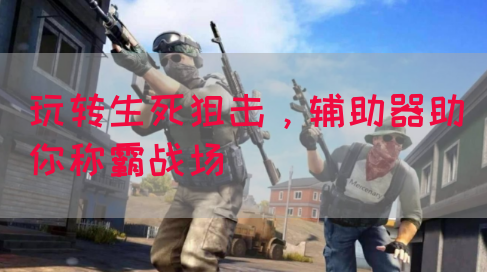 玩转生死狙击，辅助器助你称霸战场(图1)