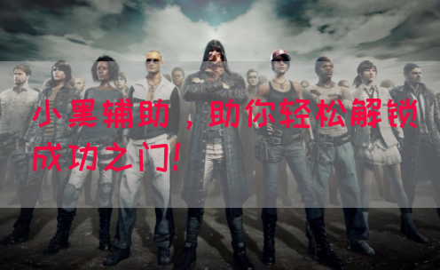 小黑辅助，助你轻松解锁成功之门！