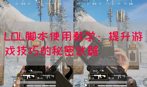 LOL脚本使用教学：提升游戏技巧的秘密武器(图1)