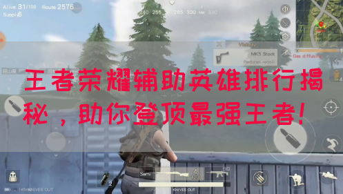 王者荣耀辅助英雄排行揭秘，助你登顶最强王者！