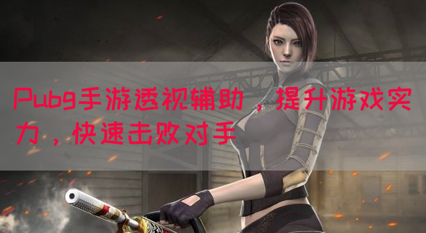 Pubg手游透视辅助，提升游戏实力，快速击败对手(图1)