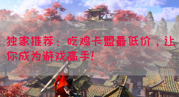 独家推荐：吃鸡卡盟最低价，让你成为游戏高手！(图1)
