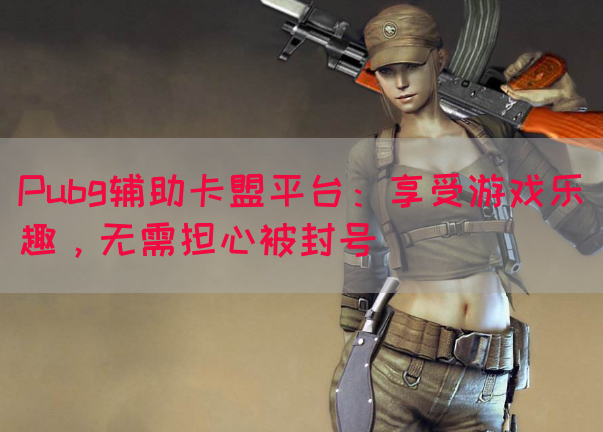 Pubg辅助卡盟平台：享受游戏乐趣，无需担心被封号(图1)