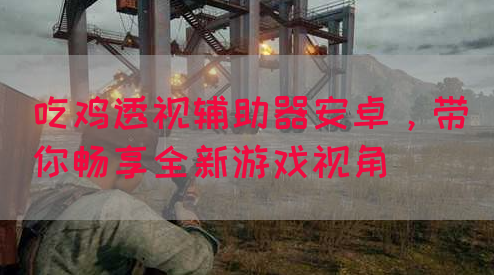 吃鸡透视辅助器安卓，带你畅享全新游戏视角(图1)