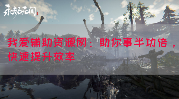 我爱辅助资源网：助你事半功倍，快速提升效率