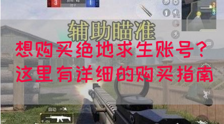 想购买绝地求生账号？这里有详细的购买指南(图1)
