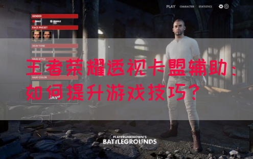 王者荣耀透视卡盟辅助：如何提升游戏技巧？