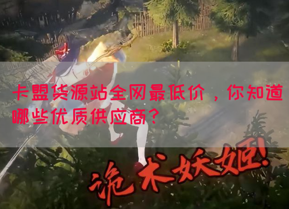 卡盟货源站全网最低价，你知道哪些优质供应商？