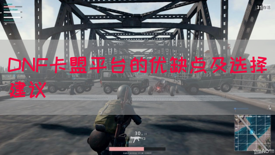 DNF卡盟平台的优缺点及选择建议