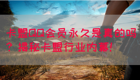 卡盟QQ会员永久是真的吗？揭秘卡盟行业内幕！(图1)