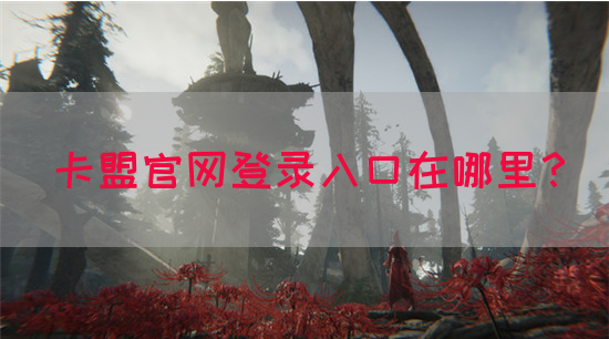 卡盟官网登录入口在哪里？(图1)