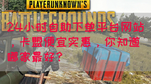 24小时自助下单平台网站，卡盟便宜实惠，你知道哪家最好？(图1)