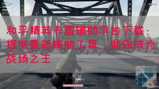 和平精英卡盟辅助平台下载：提供最新辅助工具，助你成为战场之王(图1)