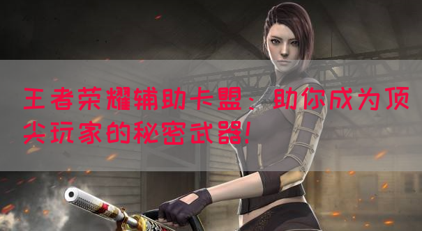 王者荣耀辅助卡盟：助你成为顶尖玩家的秘密武器！(图1)