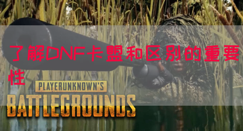 了解DNF卡盟和区别的重要性(图1)