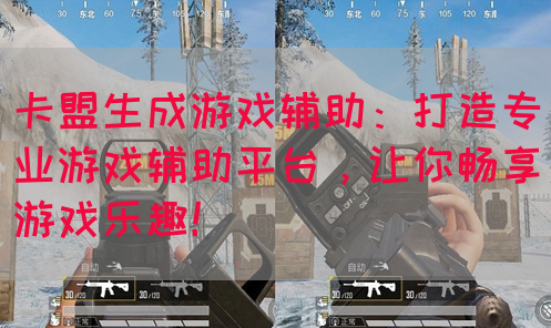 卡盟生成游戏辅助：打造专业游戏辅助平台，让你畅享游戏乐趣！(图1)