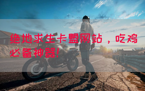 绝地求生卡盟网站，吃鸡必备神器！(图1)