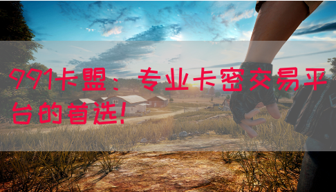 991卡盟：专业卡密交易平台的首选！(图1)