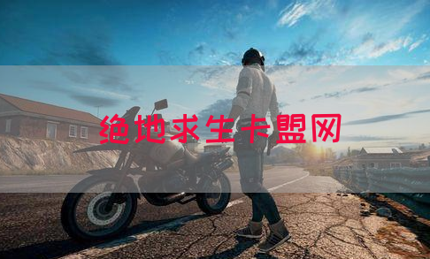 绝地求生卡盟网(图1)