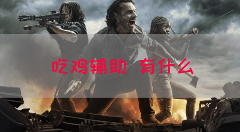 吃鸡辅助 有什么(图1)