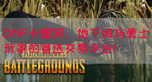 DNF卡盟网：地下城与勇士玩家的首选交易平台！(图1)