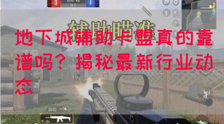 地下城辅助卡盟真的靠谱吗？揭秘最新行业动态(图1)