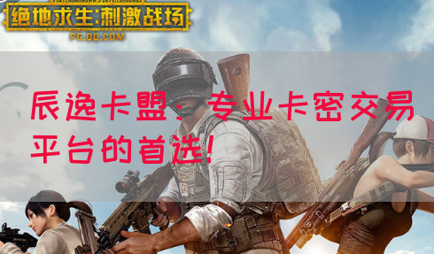 辰逸卡盟：专业卡密交易平台的首选！(图1)