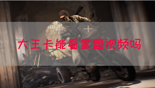 大王卡能看掌盟视频吗(图1)