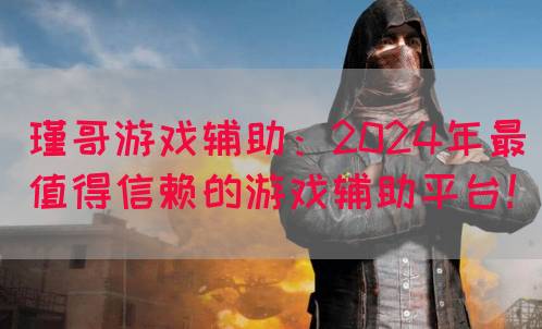 瑾哥游戏辅助：2024年最值得信赖的游戏辅助平台！(图1)