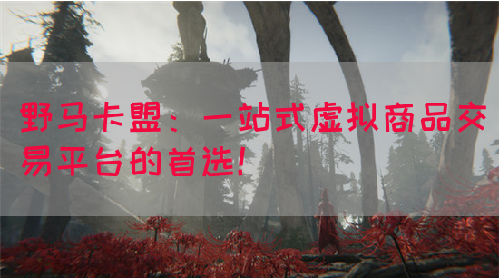 野马卡盟：一站式虚拟商品交易平台的首选！(图1)