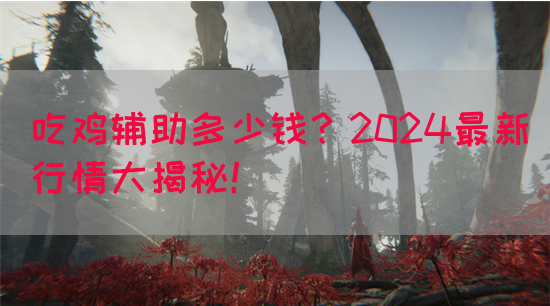 吃鸡辅助多少钱？2024最新行情大揭秘！(图1)