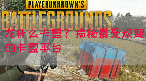 龙什么卡盟？揭秘最受欢迎的卡盟平台(图1)