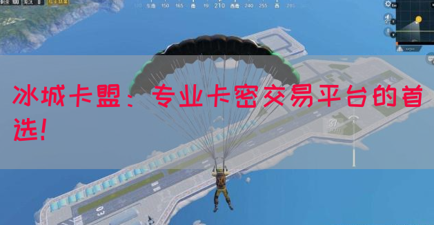 冰城卡盟：专业卡密交易平台的首选！(图1)