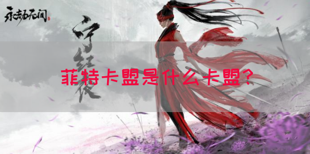 菲特卡盟是什么卡盟？(图1)