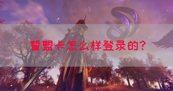 誓盟卡怎么样登录的？(图1)