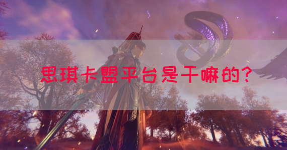 思琪卡盟平台是干嘛的？(图1)