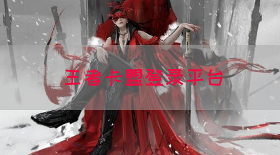 王者卡盟登录平台(图1)