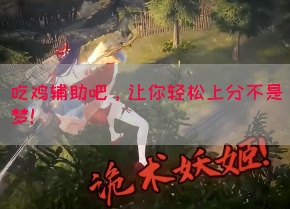 吃鸡辅助吧，让你轻松上分不是梦！(图1)