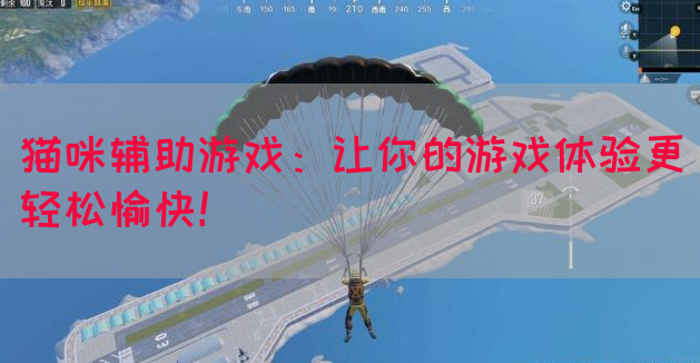 猫咪辅助游戏：让你的游戏体验更轻松愉快！(图1)