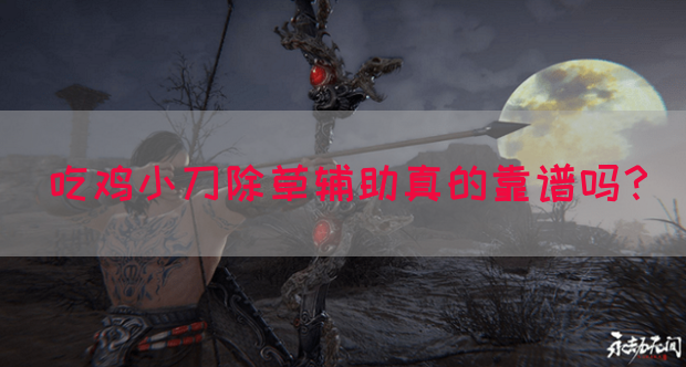 吃鸡小刀除草辅助真的靠谱吗？(图1)