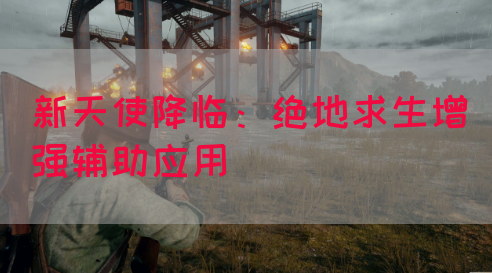 新天使降临：绝地求生增强辅助应用