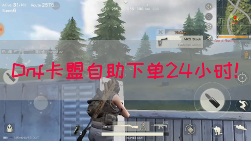 Dnf卡盟自助下单24小时！(图1)