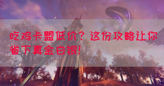 吃鸡卡盟低价？这份攻略让你省下真金白银！(图1)