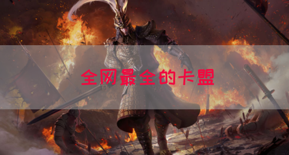 全网最全的卡盟(图1)