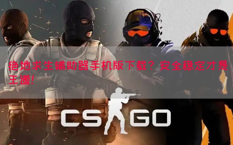 绝地求生辅助器手机版下载？安全稳定才是王道！